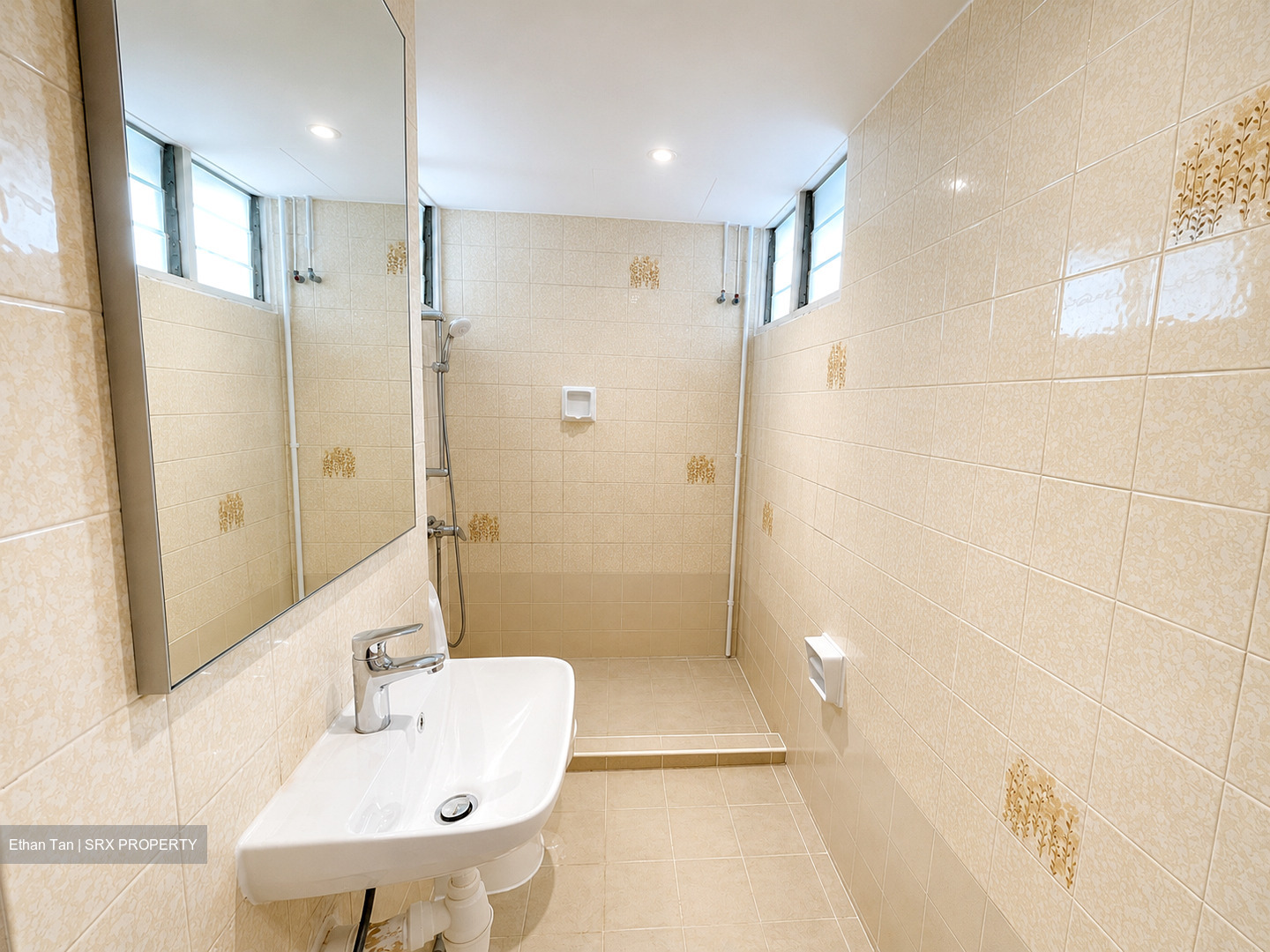 Dunearn Road (D11), Condominium #570905831